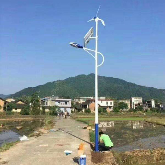 8米风光互补太阳能路灯
