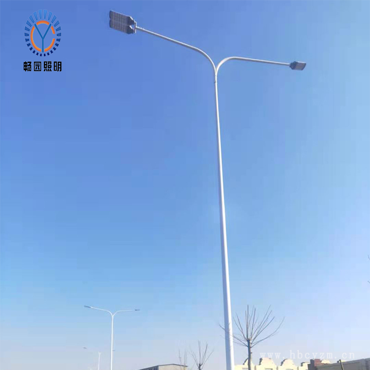 模组市电双臂道路灯