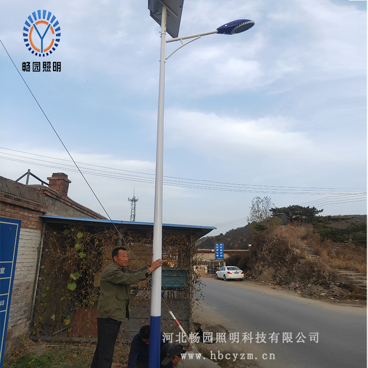 LED路灯 畅园照明6米太阳能监控路灯