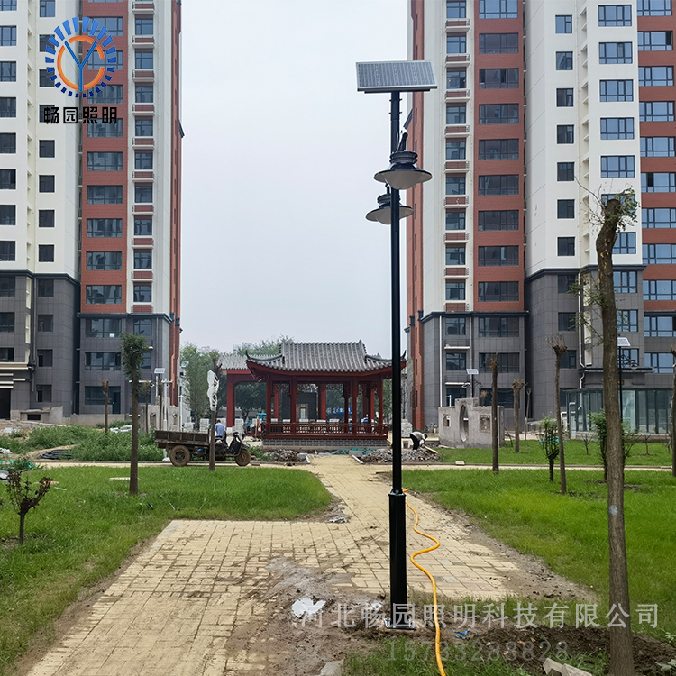 小区双头庭院灯安装现场
