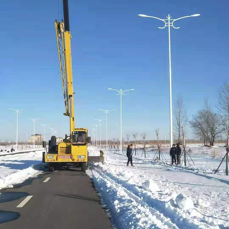 白色市电火炬LED路灯