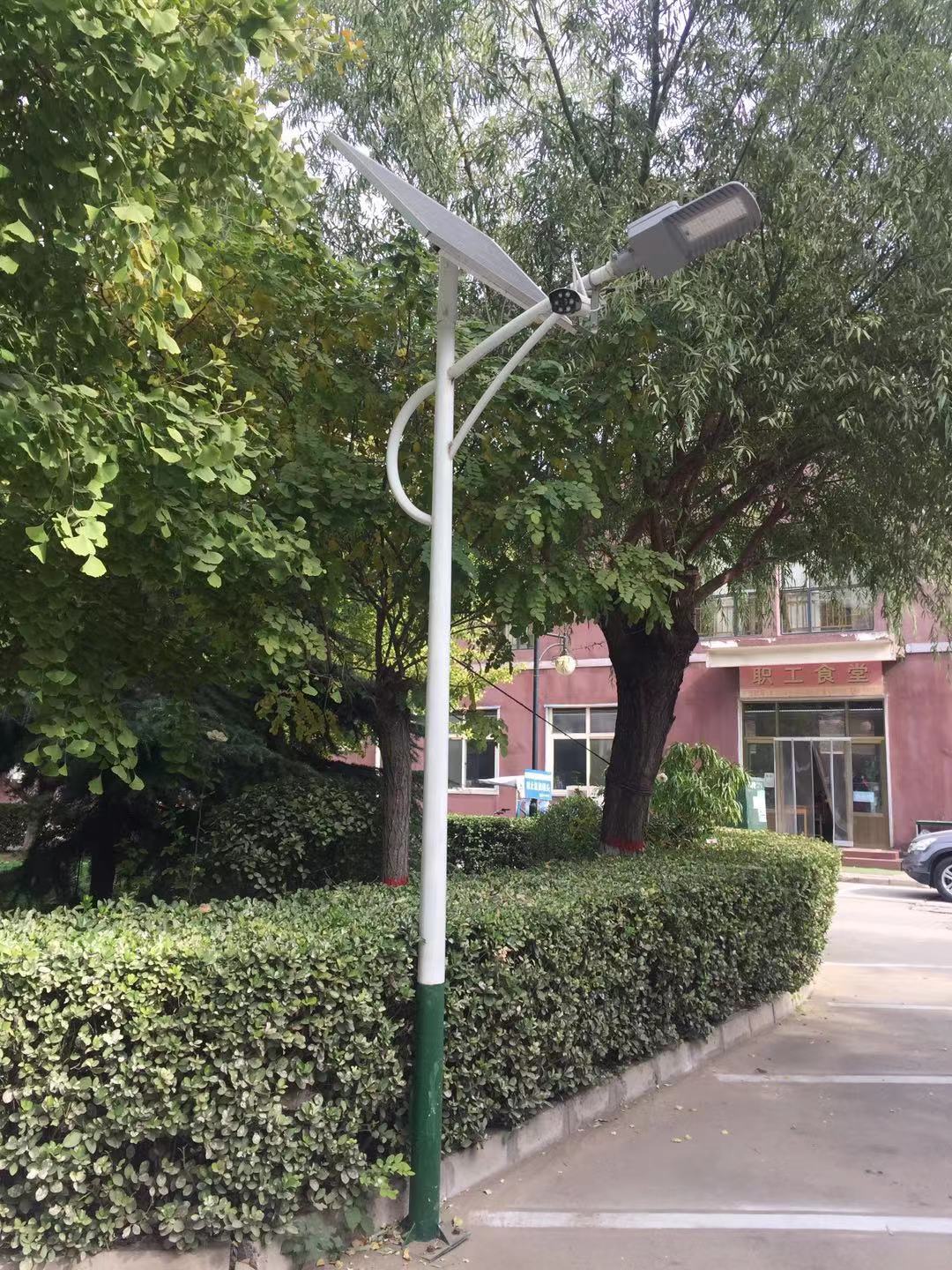太阳能led路灯在农村为什么越来越受欢迎
